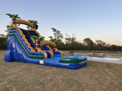 IMG 4434 1744836771 18ft Big Blue Tropical